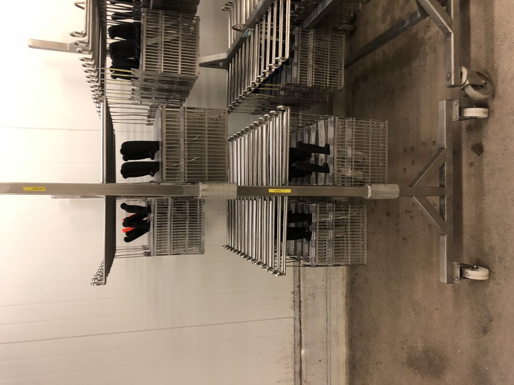 Product racks through the ultrasonic cycle — mesh and corners clean without hand scrubbing.