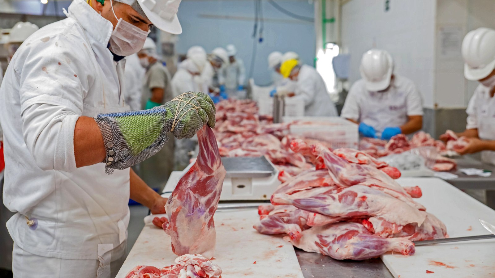 Meat processing line — boning room in production