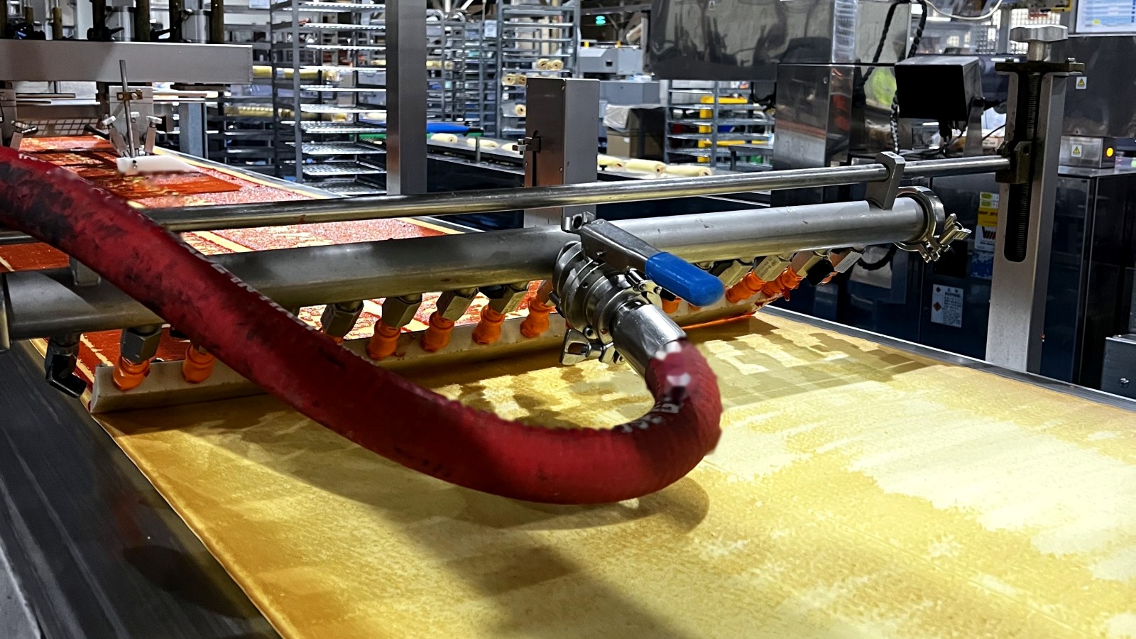 Sauce application line in an Australian food manufacturing plant