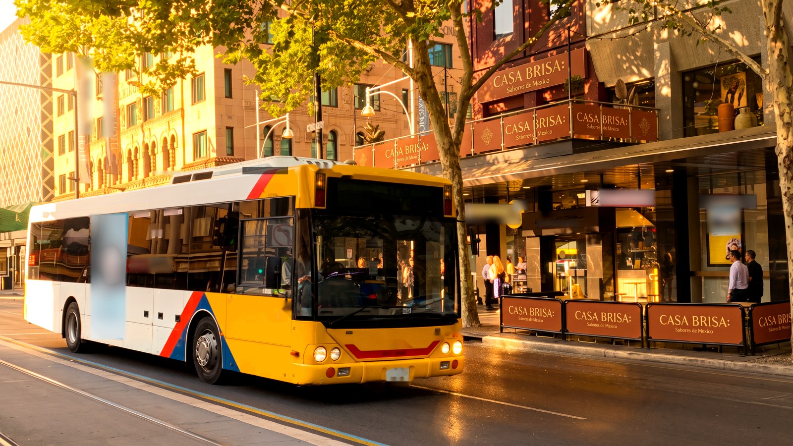 City bus at a street stop — mass transit fleet