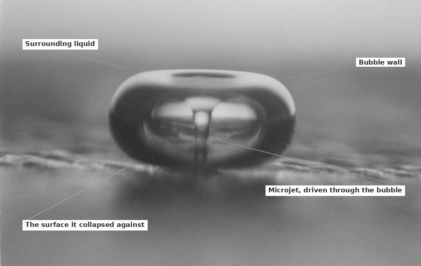 High-speed photograph of a cavitation bubble collapsing against a solid surface, the microjet visible driving through the centre of the bubble