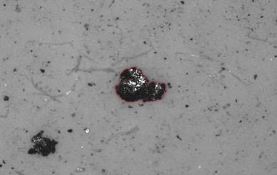Largest particles found on the filter under the microscope