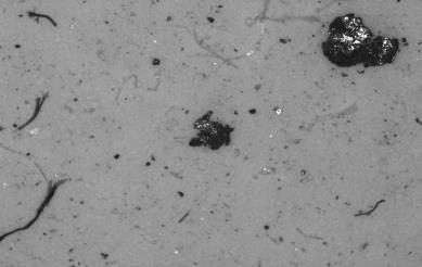 Particles on the filter membrane under the microscope