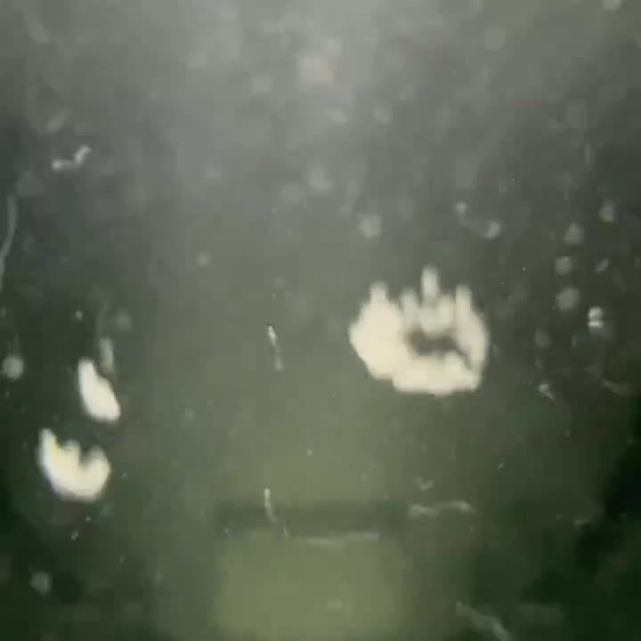 Cavitation in an ultrasonic bath